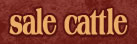 Sale Cattle